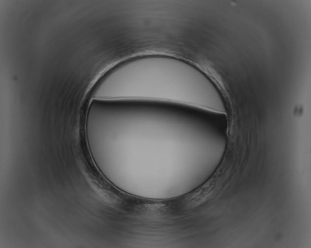 X0000091660108200708231000