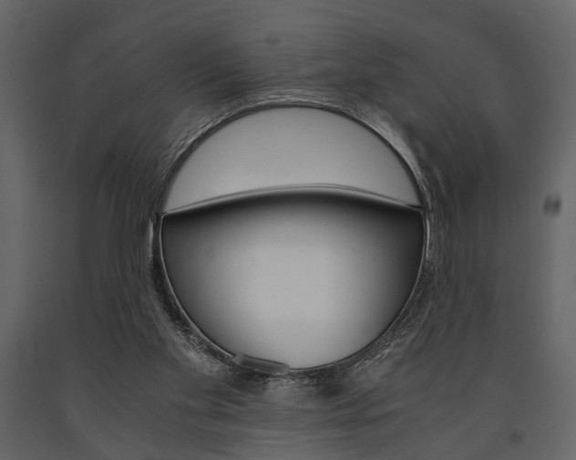X0000091660109200708231000