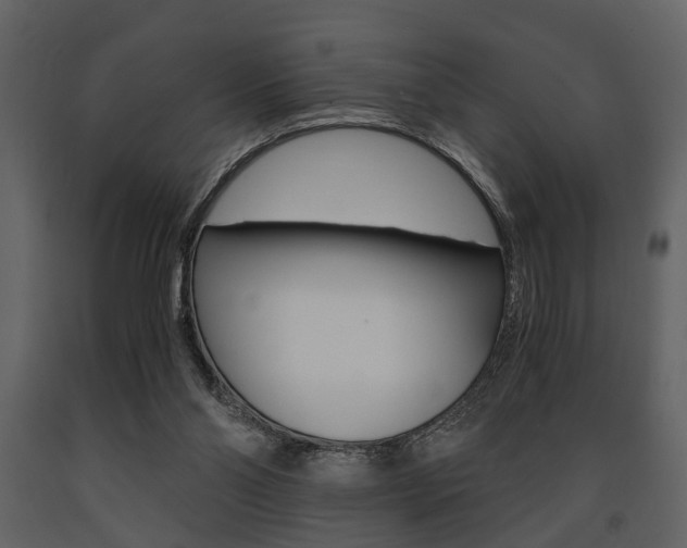 X0000091660110200708231000