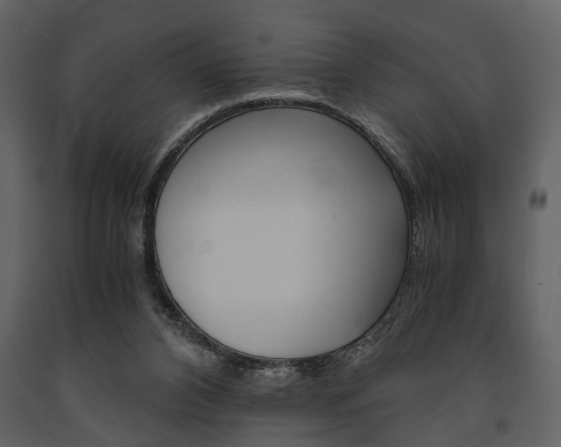 X0000091660112200708231000