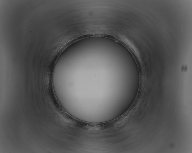 X0000091660113200708231000