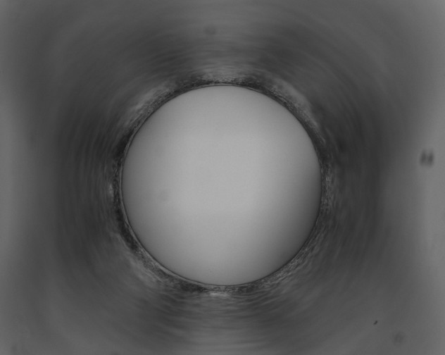 X0000091660114200708231000