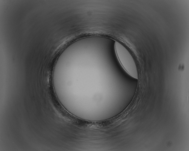 X0000091660115200708231000