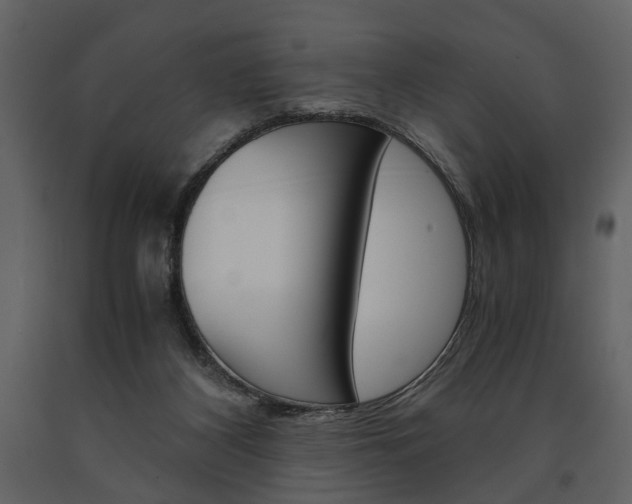 X0000091660116200708231000