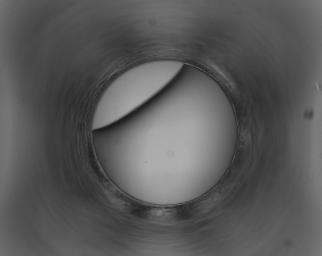 X0000091660117200708231000