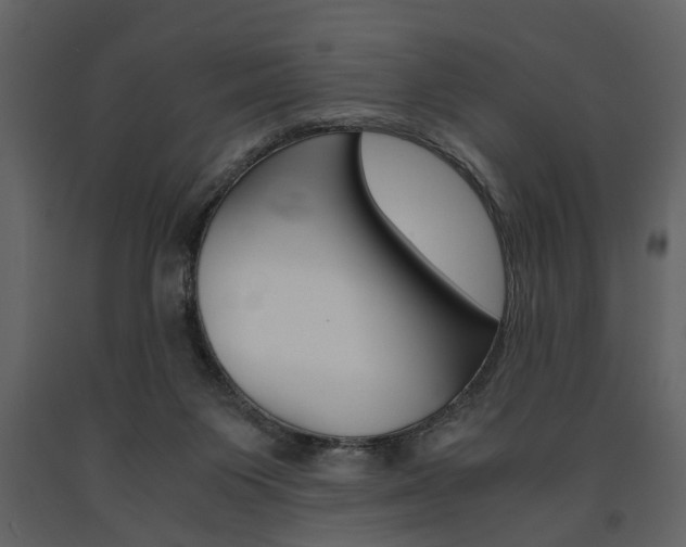 X0000091660119200708231000