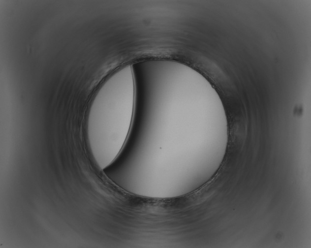 X0000091660120200708231000