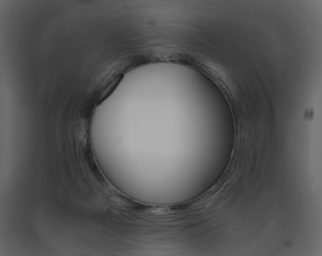 X0000091660121200708231000