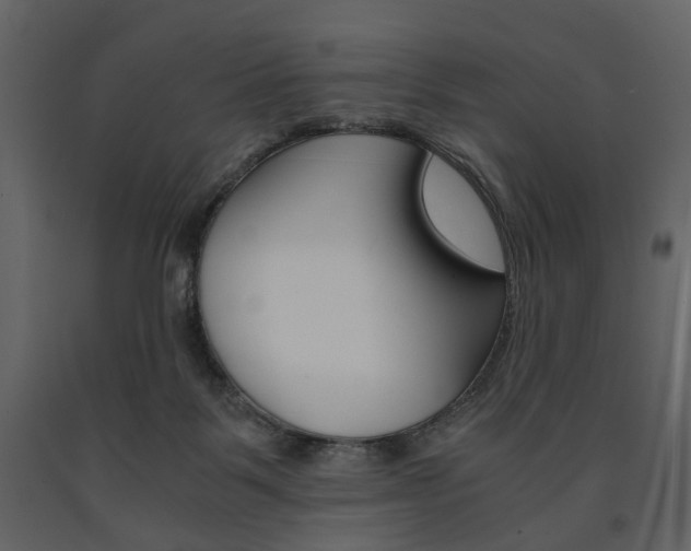 X0000091660123200708231000
