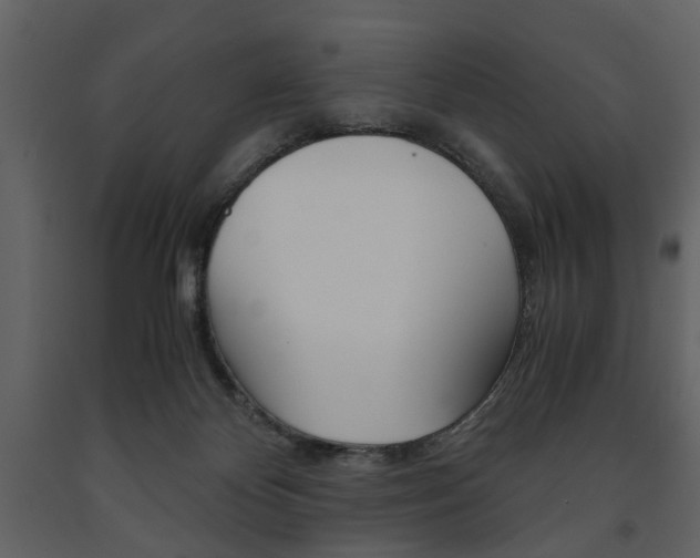 X0000091660124200708231000