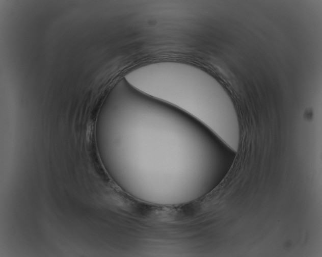 X0000091660125200708231000