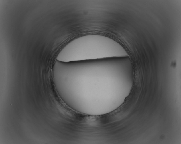 X0000091660126200708231000