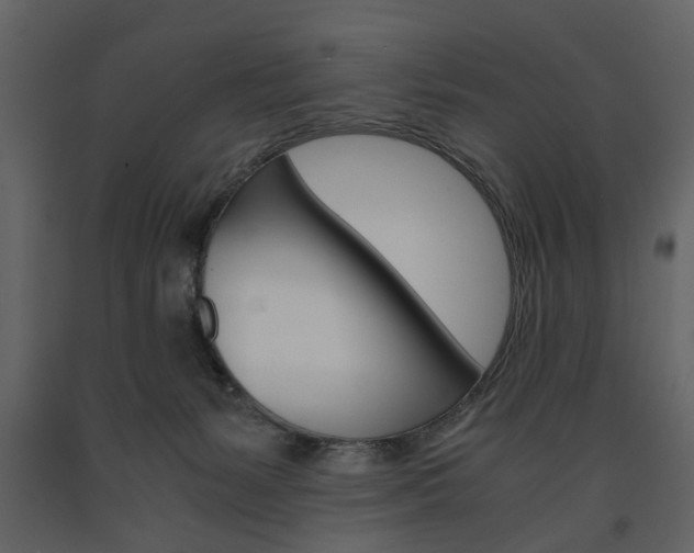 X0000091660127200708231000