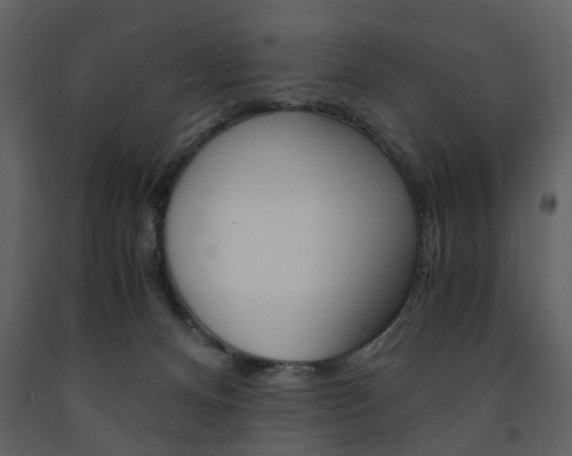 X0000091660128200708231000
