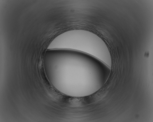 X0000091660129200708231000