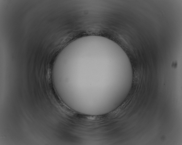 X0000091660130200708231000