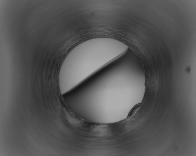 X0000091660132200708231000