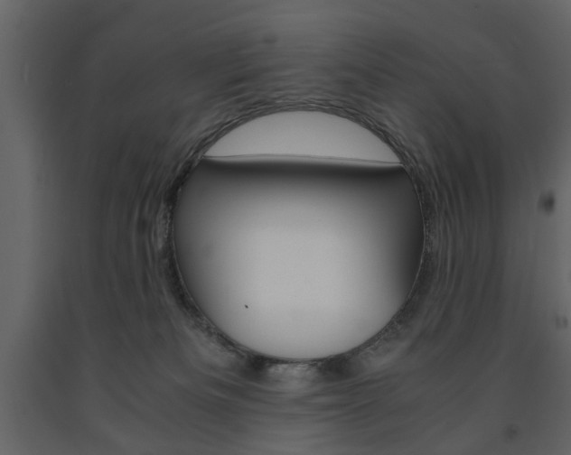 X0000091660133200708231000