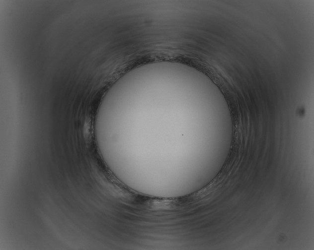 X0000091660134200708231000