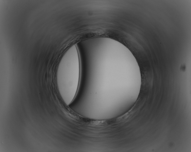 X0000091660136200708231000