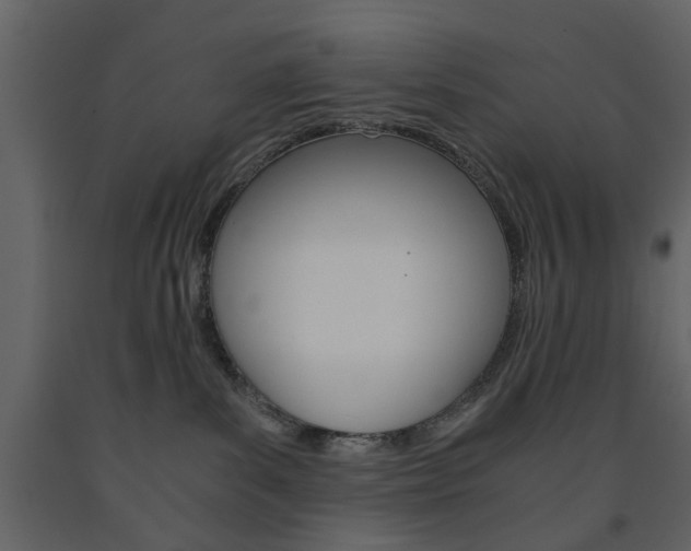 X0000091660139200708230959