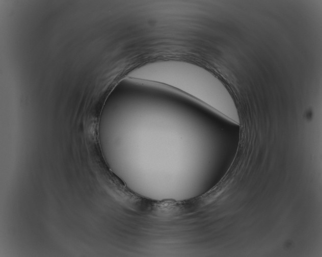 X0000091660141200708230959