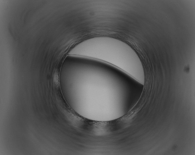X0000091660143200708230959