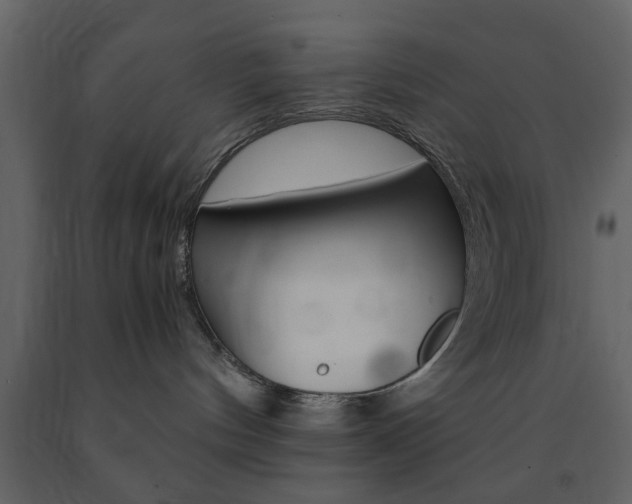 X0000091660144200708230959