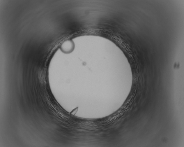 X0000091660146200708230959
