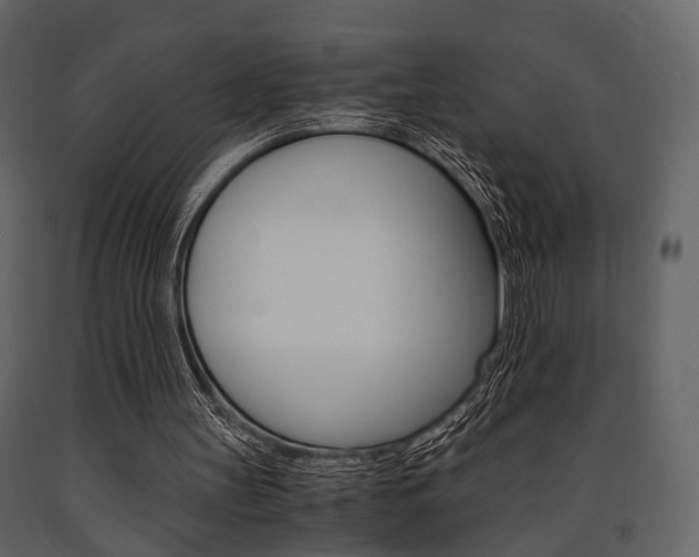 X0000091660147200708230959