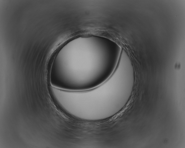 X0000091660150200708230959