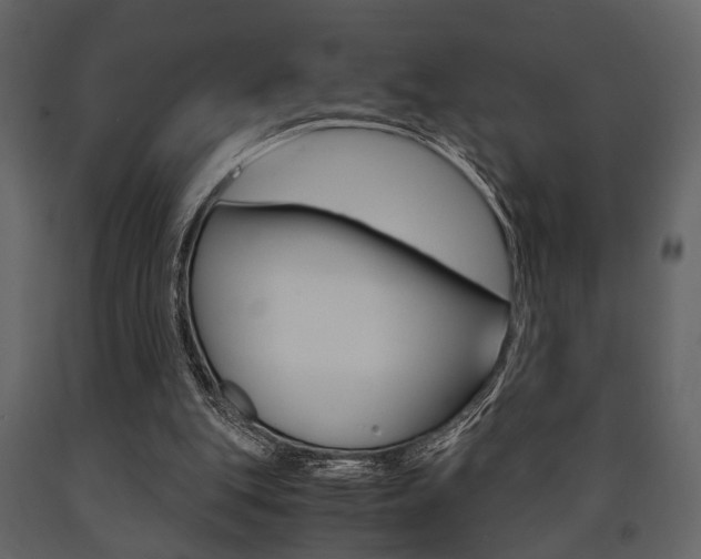 X0000091660151200708230959