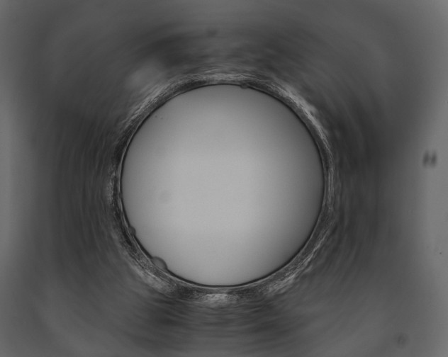 X0000091660153200708230959