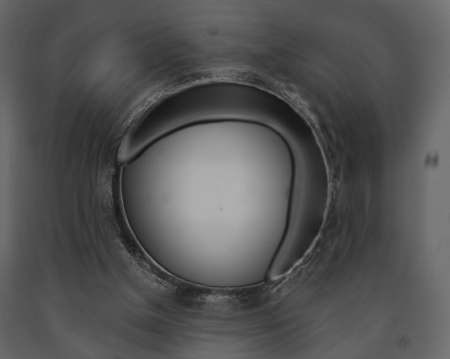 X0000091660154200708230959