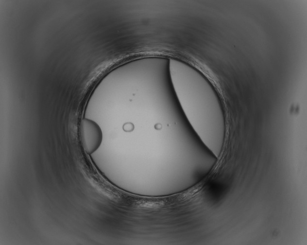 X0000091660155200708230959