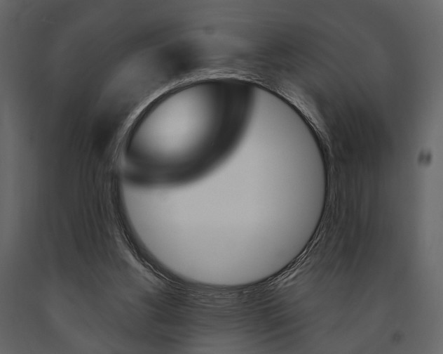 X0000091660156200708230959