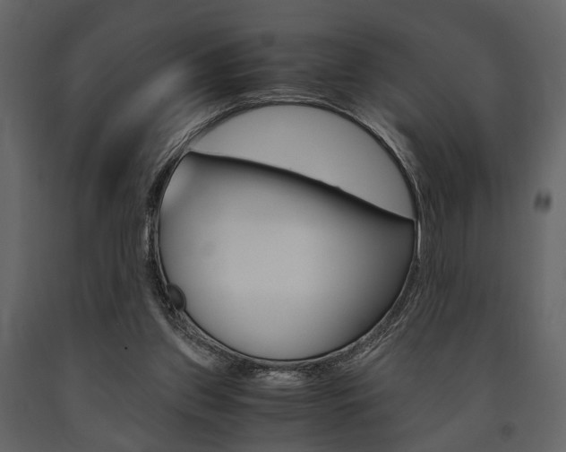 X0000091660157200708230959