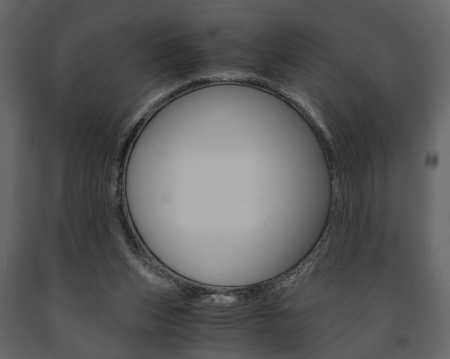 X0000091660159200708230959