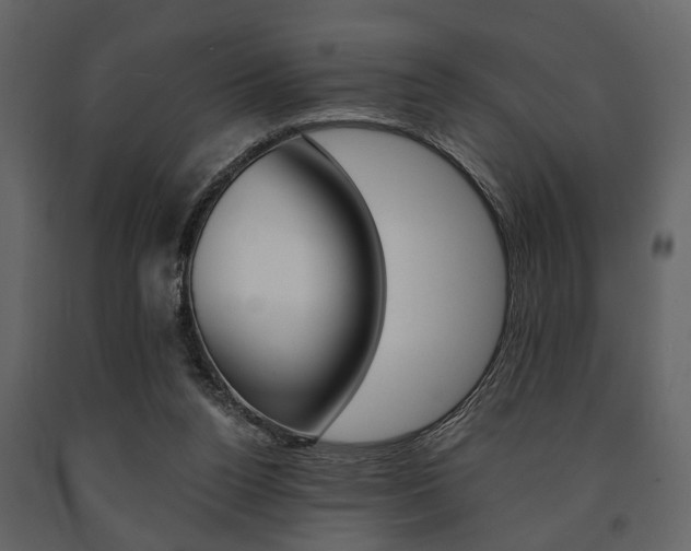 X0000091660160200708230959