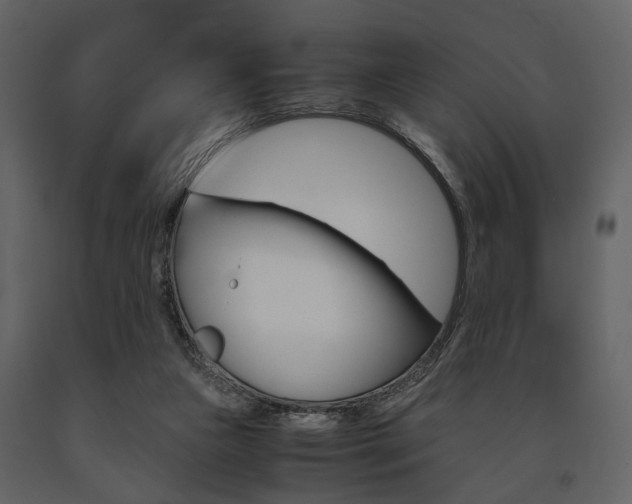 X0000091660161200708230959