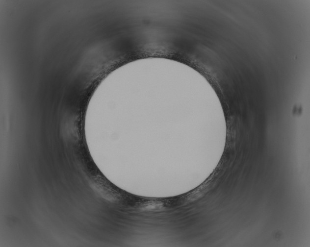 X0000091660162200708230959