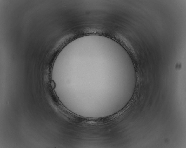 X0000091660163200708230959