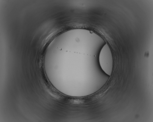 X0000091660165200708230959
