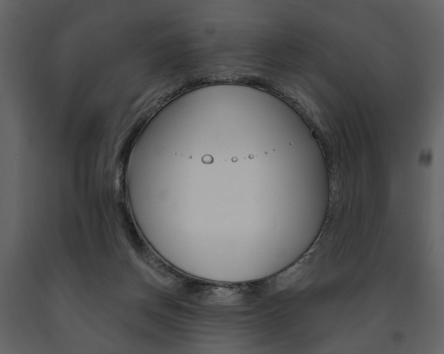 X0000091660166200708230959