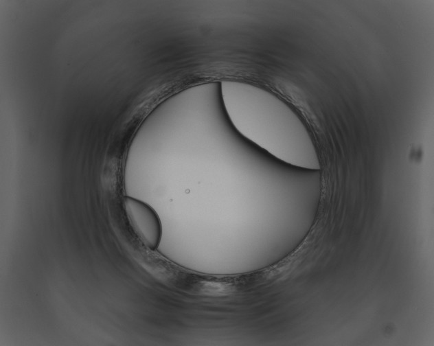 X0000091660167200708230959