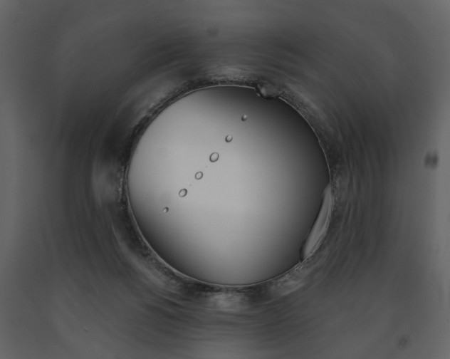 X0000091660168200708230959
