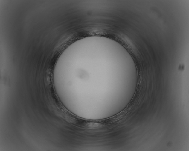 X0000091660169200708230959