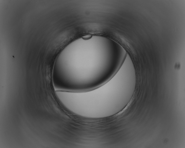 X0000091660170200708230959