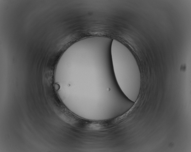X0000091660171200708230959