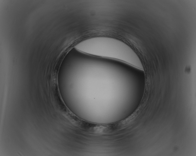 X0000091660172200708230959